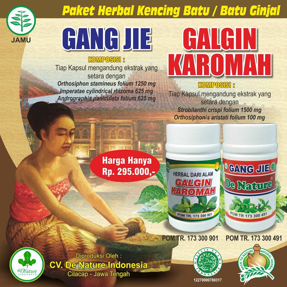 Galgin Karomah dan Gang Jie Obat Batu Ginjal Tanpa Operasi Galgin Karomah dan Gang Jie Obat Batu Ginjal Tanpa Operasi