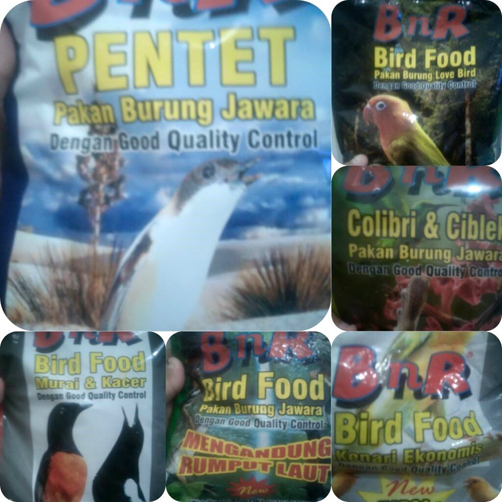 Distributor Tunggal Bnr Comunity Sby 082245430017 Jual