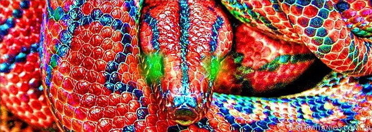 serpiente infrarroja