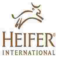 Finance & Administration Officer at Heifer International - Tanzania December, 2023 