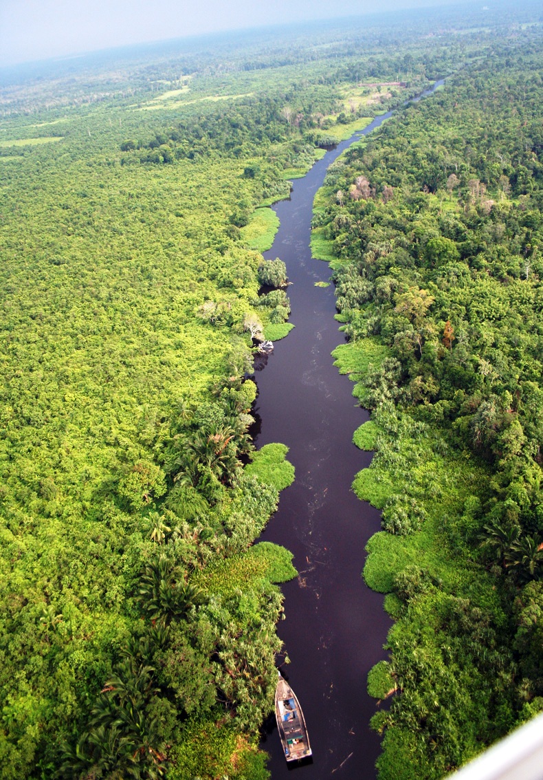 Info Cagar Biosfer: Cagar Biosfer Itu Bernama Giam Siak Kecil – Bukit