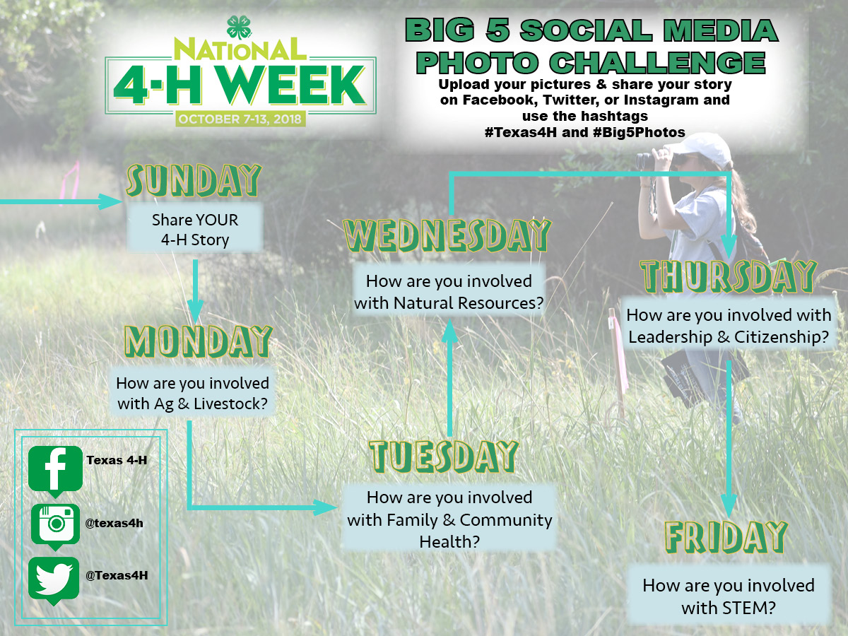Texas 4H Practitioner's Blog Western National Roundup Report