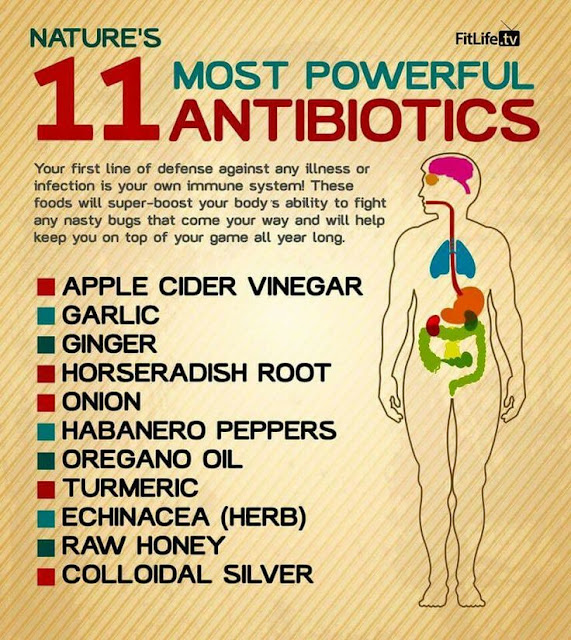 your health Infographic Nature’s 11 Most Powerful Antibiotics
