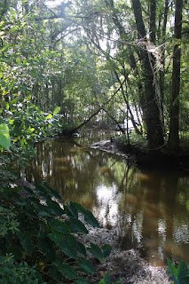 Riachuelos Riachuelos