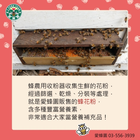 愛蜂園,台灣養蜂場,健康伴手禮,天然蜂蜜,蜂花粉,蜂蜜醋,蜂蜜蛋糕,蜂王乳,蜂王漿,台灣養蜂協會會員,客製化禮盒,台灣蜂蜜,純蜂蜜,蜂蜜檸檬,產品經SGS檢驗合格, 愛蜂園,台灣養蜂場,健康伴手禮,天然蜂蜜,蜂花粉,蜂蜜醋,蜂蜜蛋糕,蜂王乳,蜂王漿,台灣養蜂協會會員,客製化禮盒,台灣蜂蜜,純蜂蜜,蜂蜜檸檬,產品經SGS檢驗合格,