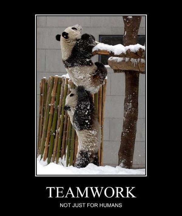 A Nursing Student s Life Proverbs 16 9 T E A M Spells TEAM a-nursing-student-s-life-proverbs-16-9-t-e-a-m-spells-team