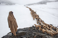 "Long March Home", ©Sankar Sridhar