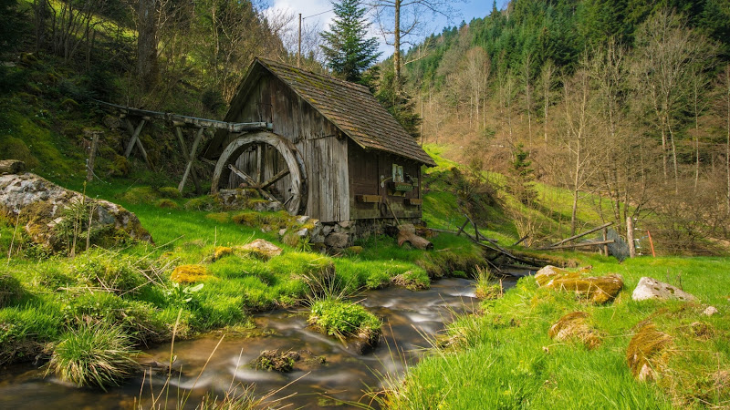 Wind Mill in Nature
