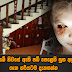 ඔබේ නිවසේ ඇති පඩි පෙළෙහි සුභ අසුභ ගැන හරියටම දැනගන්න
