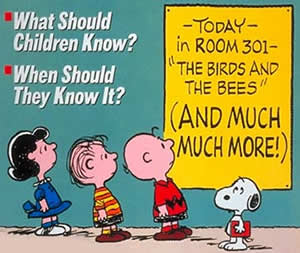 Importance Of Sex Education In High School