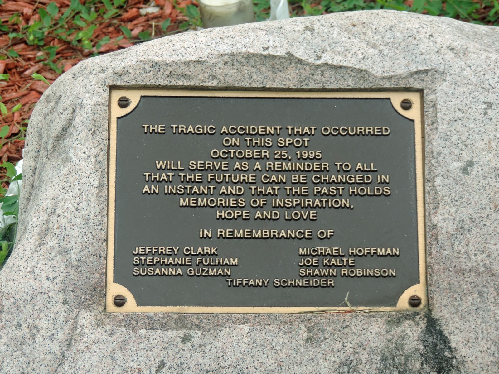 Disasterous History Fox River Grove Illinois Bus/Train crash