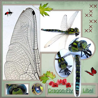 Lo 1..Dragon-fly..Libel