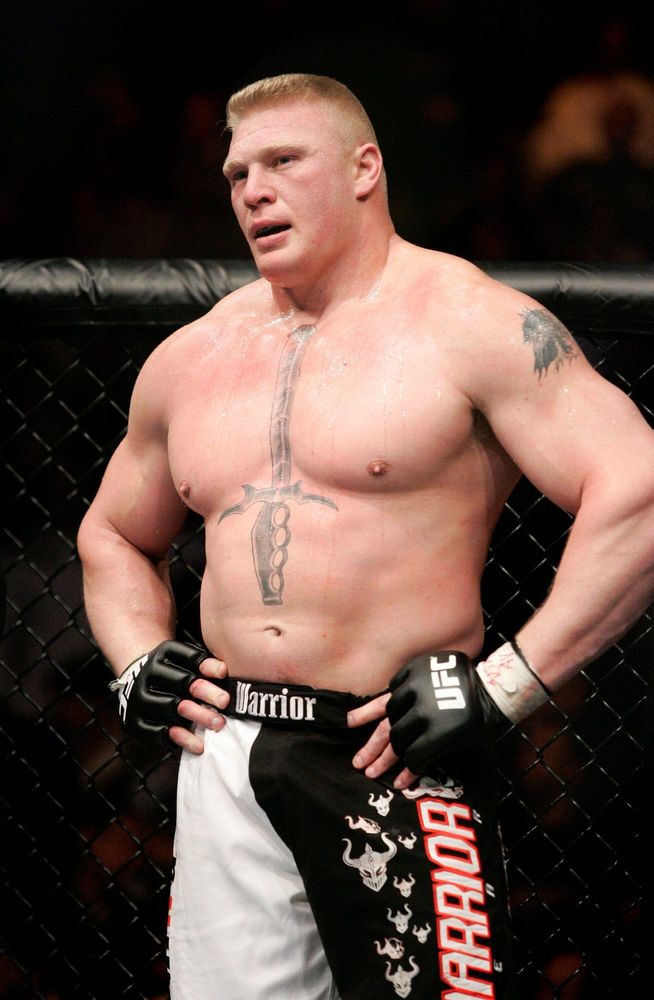 WWE WRESTLING CHAMPIONS: Brock Lesnar ufc Champion