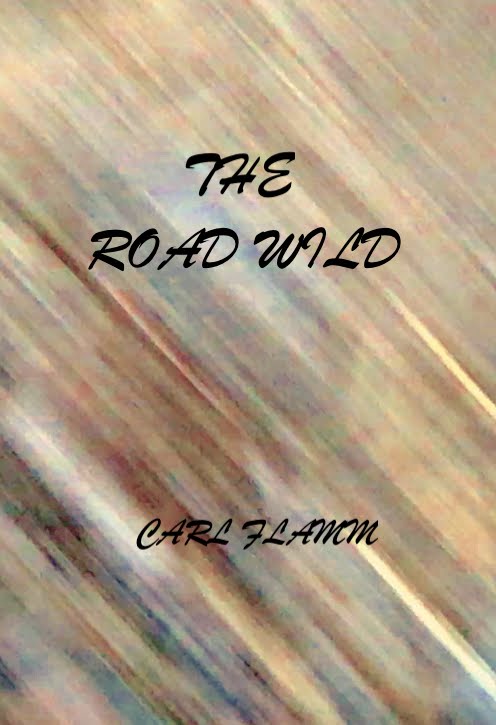 THE ROAD WILD