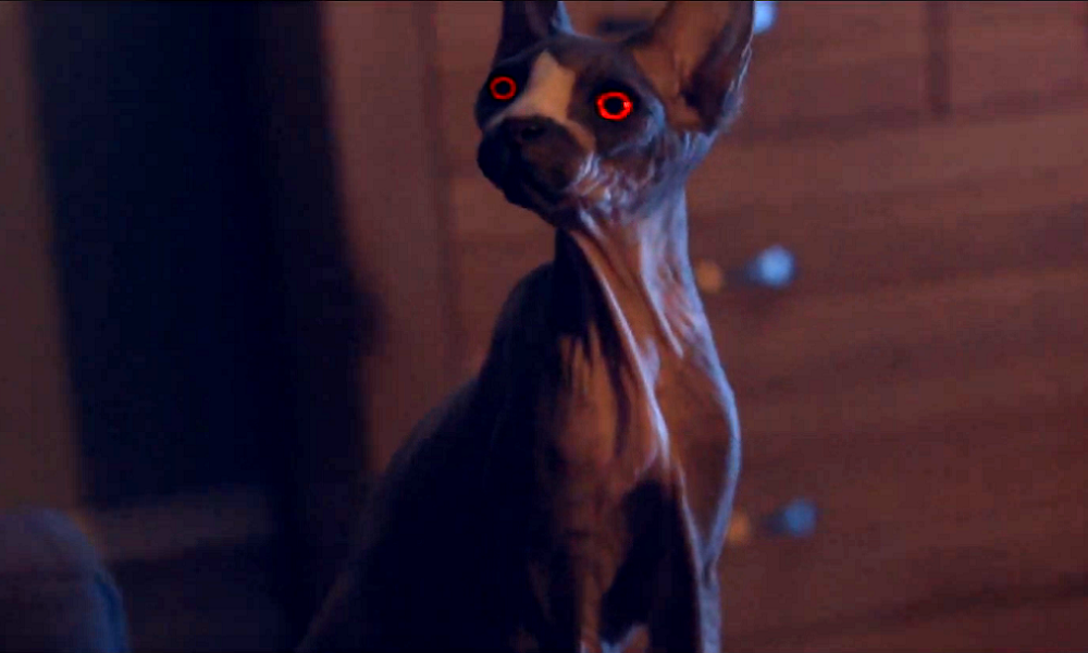 CINE PARA TODOS LOS GUSTOS Pet Graveyard 2019 Tráiler Horror