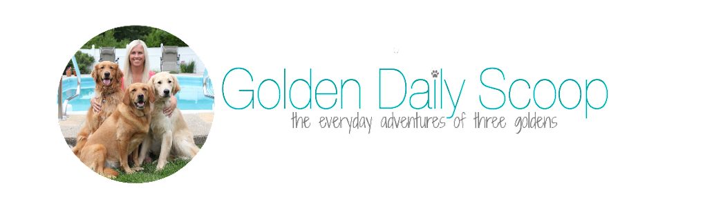 Golden Daily Scoop