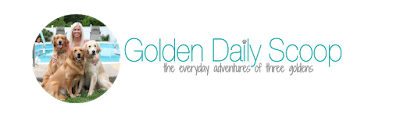 Golden Daily Scoop