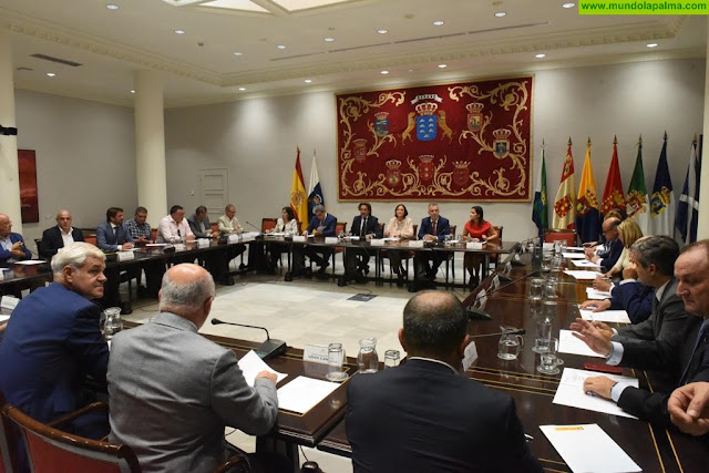 Gobierno de Canarias y Ministerio de Turismo explican a los cabildos, partidos políticos y agentes sociales las medidas del plan de choque por la quiebra de Thomas Cook