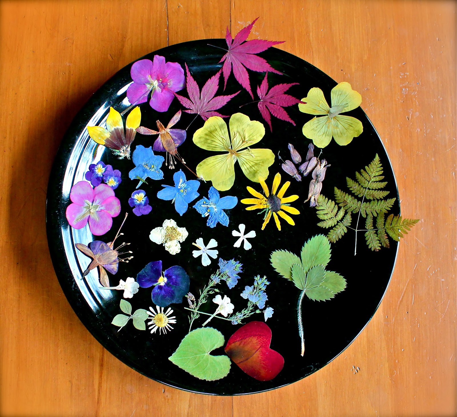 Twig and Toadstool Pressed Flower Mobile