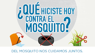 que hiciste hoy contra el mosquito dengue