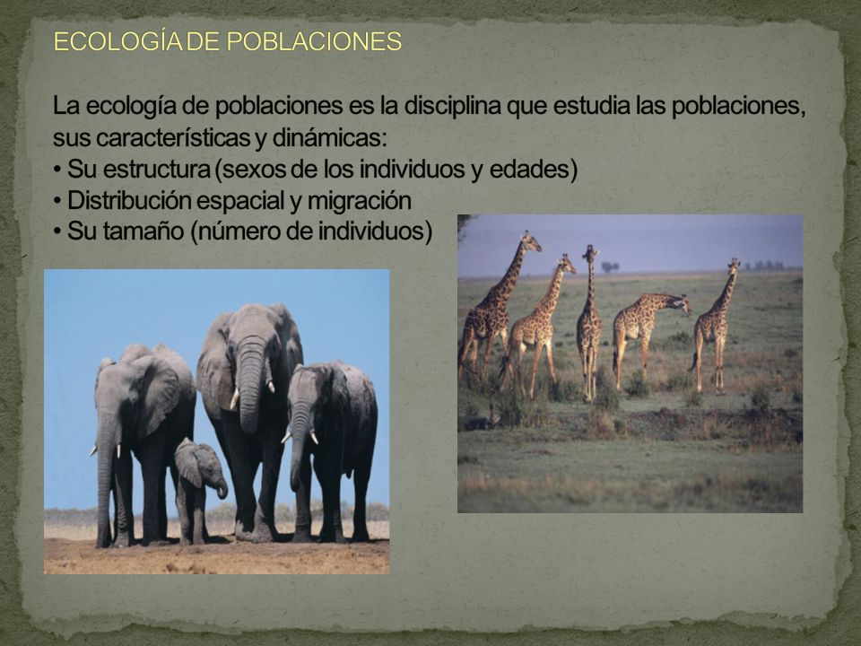 ECOLOGÍA DE POBLACIONES