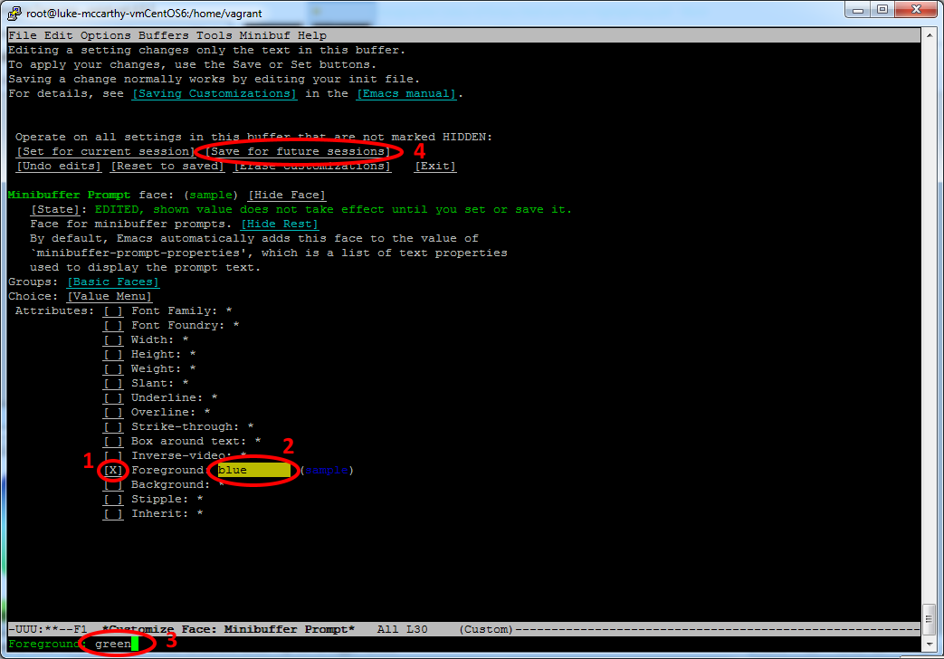 Change the Colour of Emacs Shell Prompt and Font Highlighting