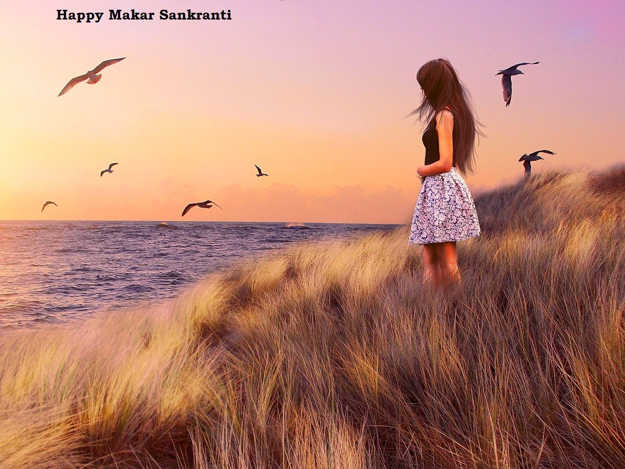 happy makar sankranti 2015 happy makar sankranti