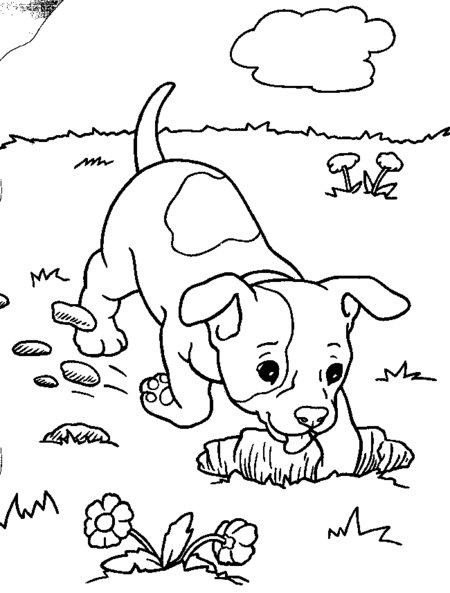 Funny Puppies Coloring Pages for Kids >> Disney Coloring Pages