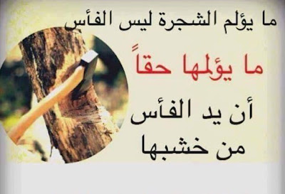 حكم وامثال حكم وامثال