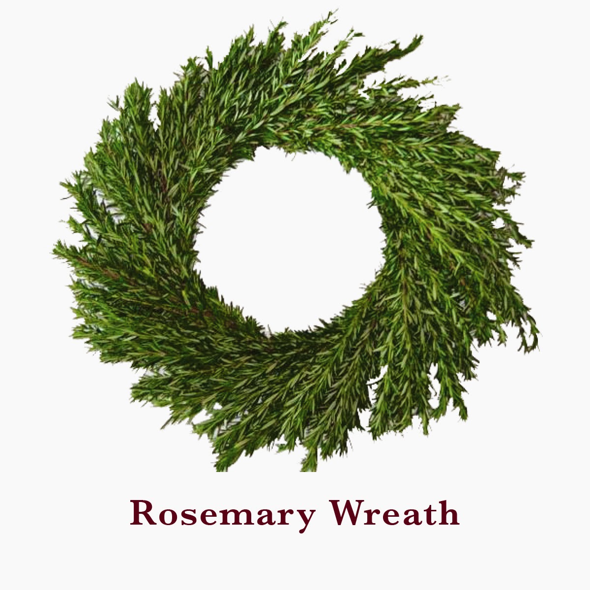 flower classroom Beautiful Fresh Wreaths and Garlands for Purchase at the Flower Classroom