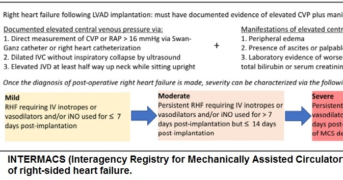 Dr.Nabil Paktin's Journal of Cardiovascular Medicine Blog ژورنال ( قلب ...
