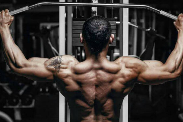 Sarcoplasmic hypertrophy và myofibrillar hypertrophy Sarcoplasmic hypertrophy và myofibrillar hypertrophy