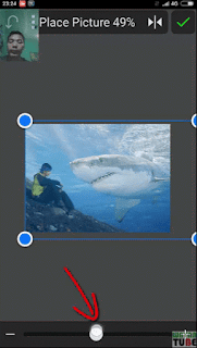 Cara Edit Foto ikan paus di atas langit Menggunakan PicSayPro