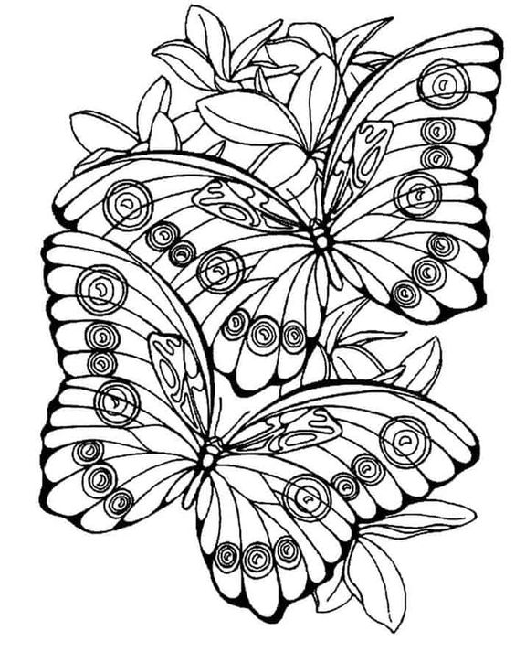 Tranh tô màu hai con bướm và các bông hoa