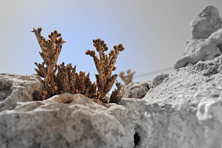paisaje-miniatura Nuevo diseño en el blog, y una explicación por tardar tanto en volver