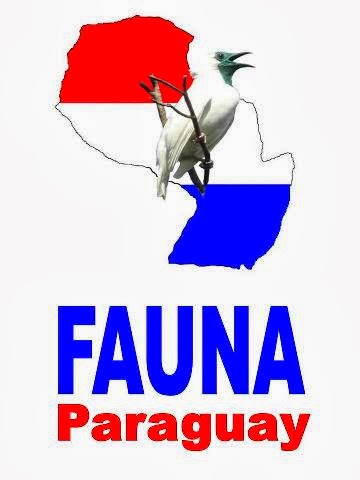 Fauna Paraguay