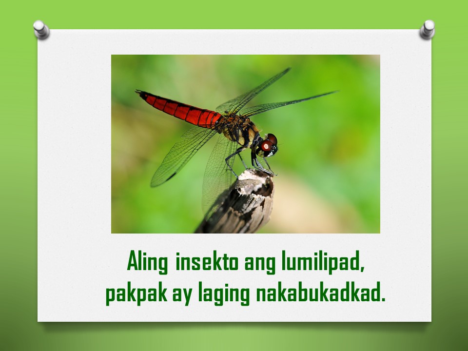 Download Halimbawa Ng Bugtong With Answers Images - Tagalog Quotes 2021