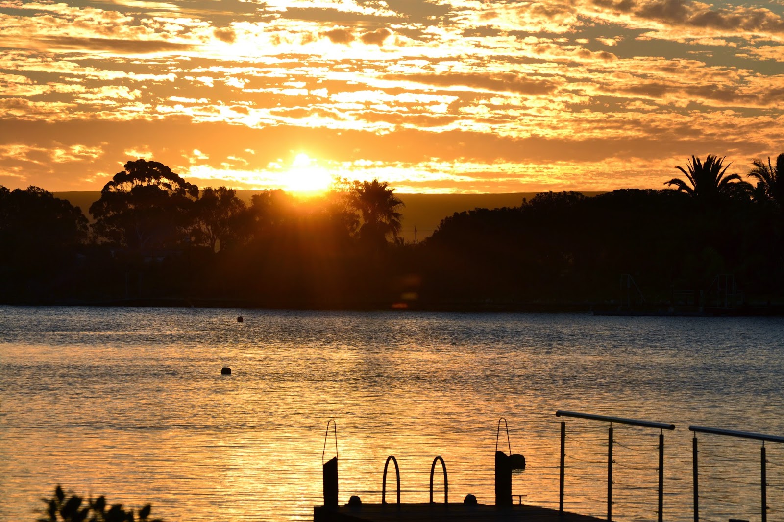 golden sunset over the marina