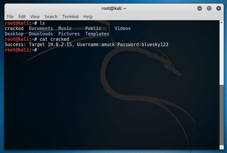 Kali linux пароль. Kali linux пароль