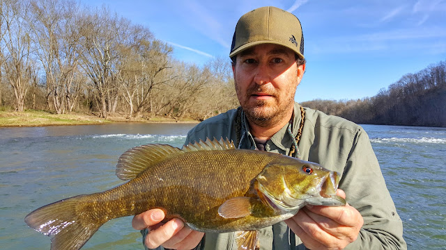 inthespread fishing videos smallmouth bass scott lewis