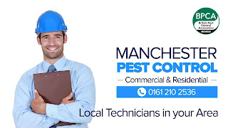 Pest Controler Manchester Rat Control Manchester