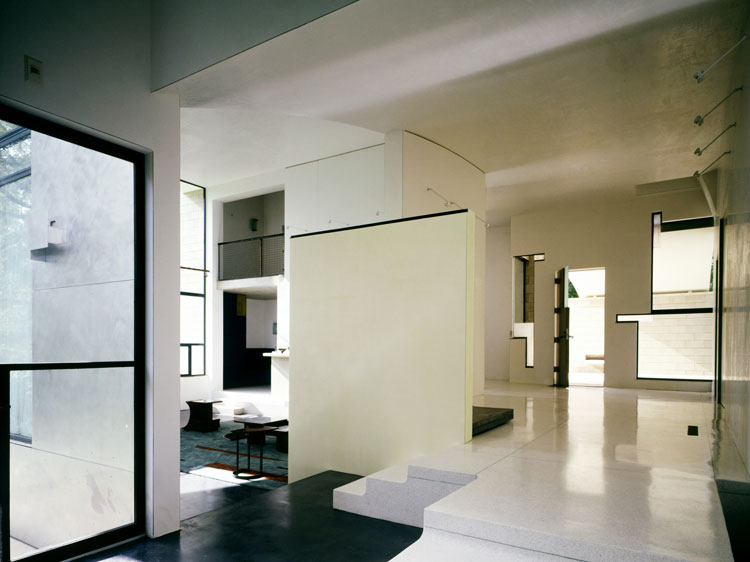 DAB310 Chosen Exampler Stretto House by Steven Holl