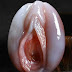 Checkout This Fish Called “Shellfish” That Looks Exactly Like A V@gina