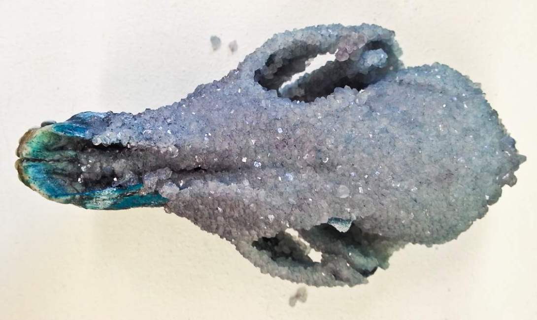 crystallized coyote skull