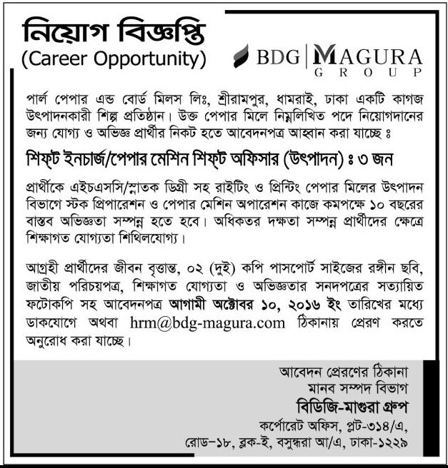 Career of BDG Magura Group 