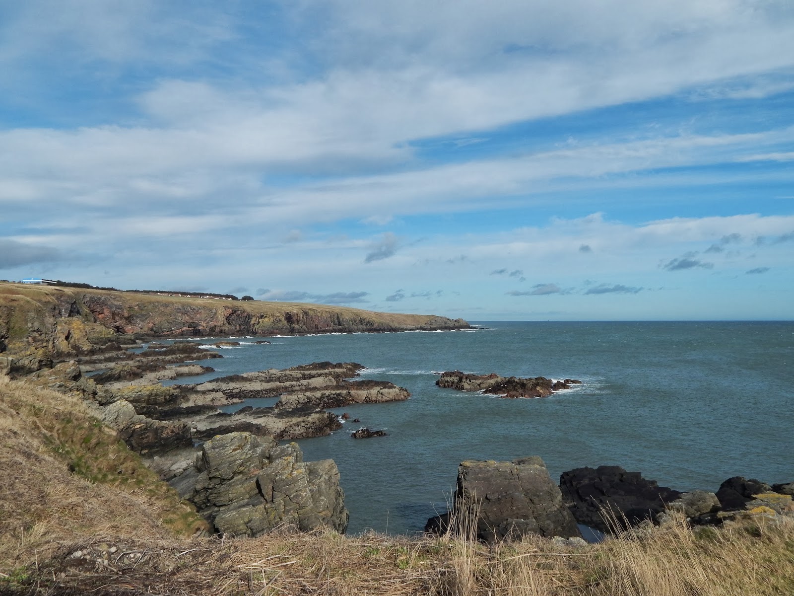 My Life in Scotland Cove Bay