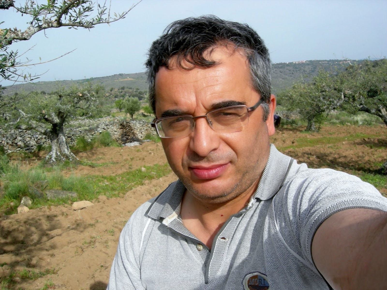 aGreste Olival na Quinta de Pêro Martins