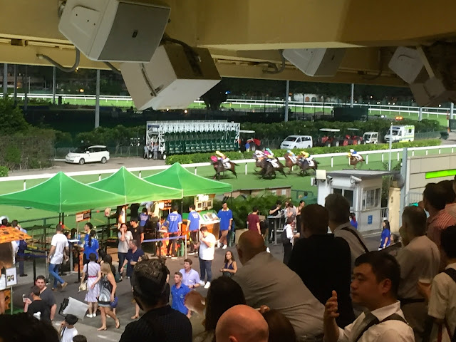 Wednesday night horse racing at Happy Valley, Hong Kong