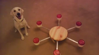 Dog Training Calibration Wheel bed bug dogs georgia, bed bug dogs savannah, bed bug dogs atlanta, bed bug dogs training georgia,