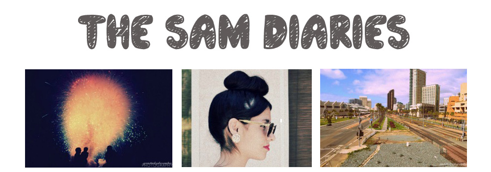 The Sam Diaries